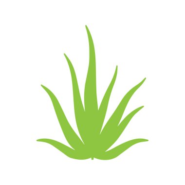 Bitkisel kozmetik ve sağlık kimliği için tasarlanmış minimalist aloe vera yaprağı silueti