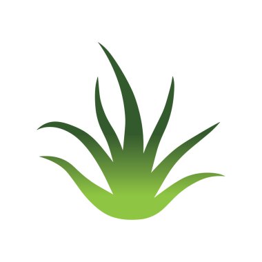 Aloe vera minimalist logo modern bitki sağlığı ve cilt bakımını sembolize ediyor.