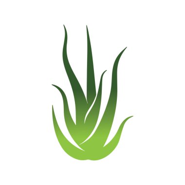 Spa kozmetik ve çevre dostu güzellik kimliği için minimalist aloe vera vektör tasarımı