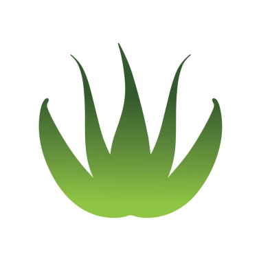 Aloe vera yaprak sembolü bütünsel cilt bakımını ve organik sağlık yaşam tarzını temsil eder.