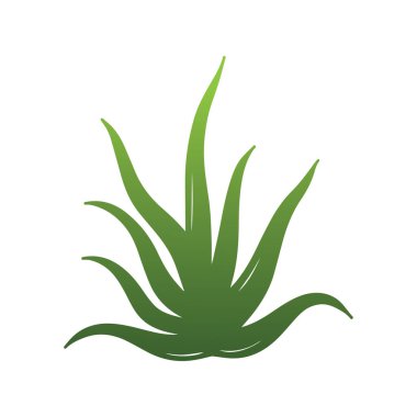 Aloe vera logosu organik iyileşmeyi, cilt bakımını ve doğal eko yaşam tarzını temsil ediyor.