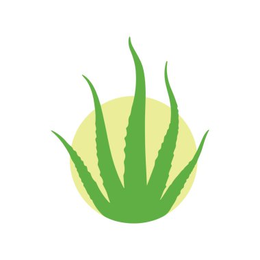 Aloe vera bitki sembolü organik sağlığı ve çevre dostu yaşamı temsil ediyor.