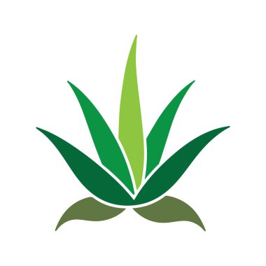 Aloe vera yaprağı tasarımı iyileşmeyi, saflığı ve bitkisel sağlığı sembolize eder.
