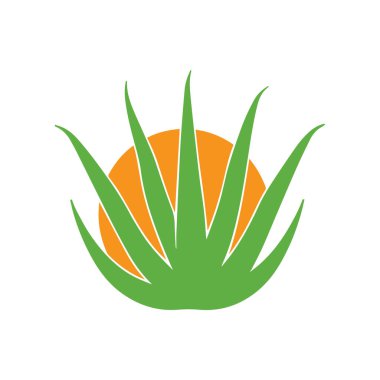 Aloe vera bitki tasarımı doğayı, iyileştirmeyi ve sürdürülebilir güzellik yaşam tarzını temsil eder.