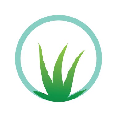 Minimalist aloe vera yaprak üçlüsü tasarımı eko güzellik ve spa sağlık kimliği için yaratılmıştır.