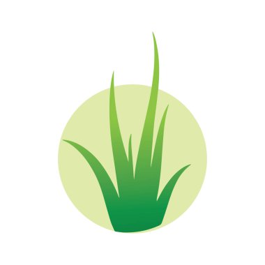 Aloe vera daire logosu dengeyi, iyileşmeyi ve organik sağlığı sembolize eder.