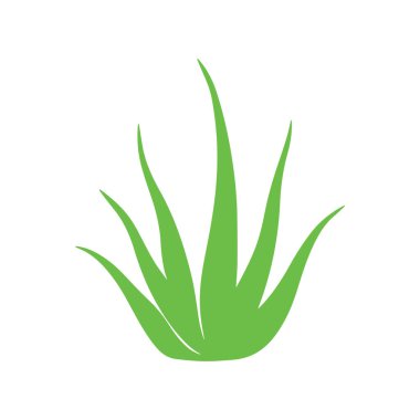 Minimalist aloe vera siluet simgesi spa kozmetik ve doğal bitki sağlığı markalaşması için oluşturuldu