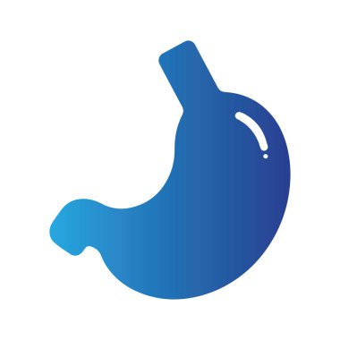 İnsan midesinin yeşil renkteki detaylı anatomik çizimi