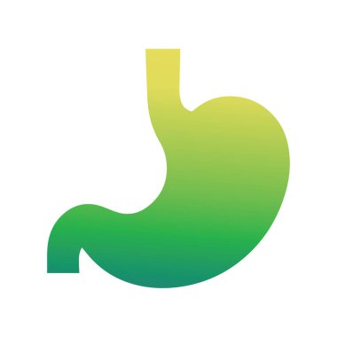 Klinik sunum için minimalist mide çizimi