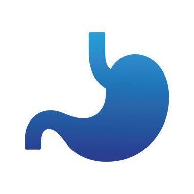 Eğitim ve tıbbi amaçlar için 3B mide modeli