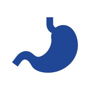 İnsan midesi anatomisinin basit düz vektörü