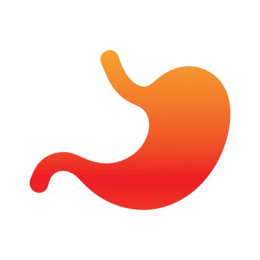 İnsan midesinde sindirim akışı yönü bunu açıklar.