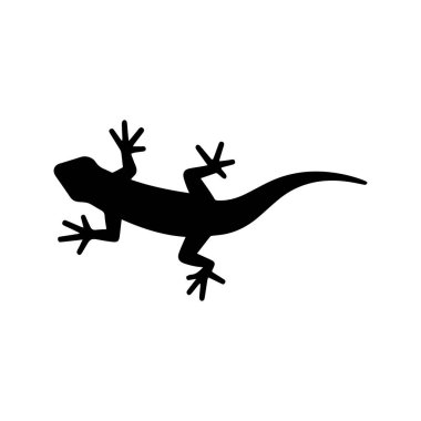 Gecko ambalaj tasarımı çevre dostu oteller ve tropikal yaşam projeleri için mükemmel.