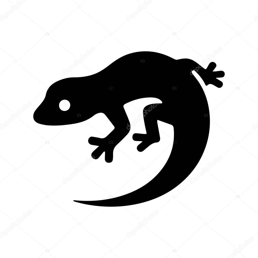 House with gecko tail symbolizing creativity, balance and natural harmony concept