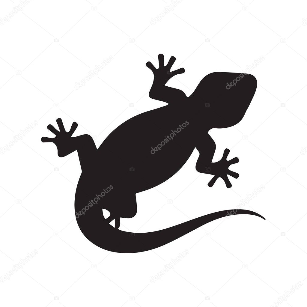 Gecko tail roof logo representing connection between shelter and natural freedom