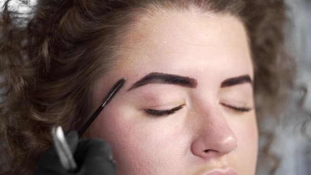 Womans brows been combed by eyebrow brush after coloring, eyebrow correction for curly beautiful woman at the beauty salon, eyebrow coloring with natural dyes, coloring with henna, beauty and — Stock Video