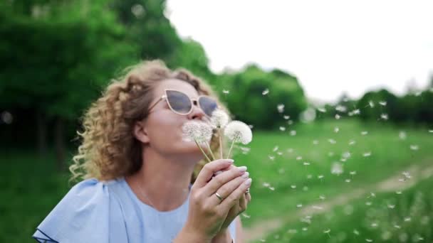 Attractive woman in sun glasses blows the dandelions and they fly away on the wind, beautiful kinky girl blows the dandelions to the wind, resting at the green park in summer sunny day — Stock Video