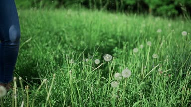 Güneşli yaz gün kot darbelere dandelions ve parkta yüksek çim aşağı kadında, kız iyi bir ruh hali ile aptallar
