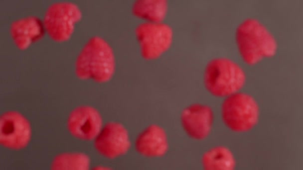 Marco shot de framboises tombe au ralenti, pousses de nourriture au ralenti, 1080h 240fps, nourriture au ralenti, recettes et cuisson — Video