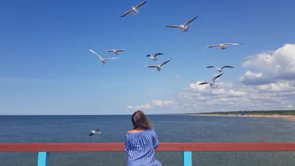 Mujer joven y bonita se para en el muelle y alimenta a las gaviotas, las gaviotas se alimentan en el vuelo en la orilla del mar, la alimentación de los pájaros en la playa, el verano en la playa — Vídeo de stock