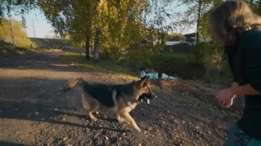 Genç kadın ile büyük köpek açık havada oynar, kadın büyük çoban ile parkta, insanlar hayvanlar, köpekle oynamayı çalış