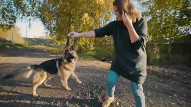 大きな犬の屋外を果たしている若い女性、女性を果たしている大きなシェパードと公園で人間ペット犬と遊ぶ — ストック動画
