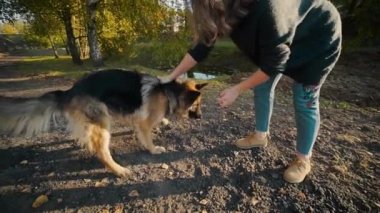 Genç kadın ile büyük köpek açık havada oynar, kadın büyük çoban ile parkta, insanlar hayvanlar, köpekle oynamayı çalış