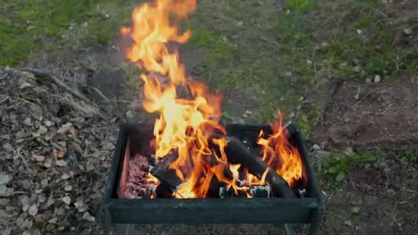 Grillplatz im Hinterhof, Herstellen von heißen Kohlen für das Kochen auf dem offenen Feuer, Sommergrill, offenes Feuer, Rauch und Flammen — Stockvideo
