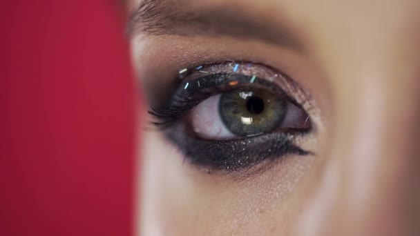 Macro shot of the womans blinking eye with evening makeup and glitter, lashes mascara, holiday makeup — Stock Video