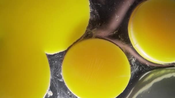 Le cuisinier brise les œufs dans la plaque de verre, jaunes d'œufs, faire la pâte, omelette de cuisson et oeufs frits, Full HD Prores 422 HQ — Video