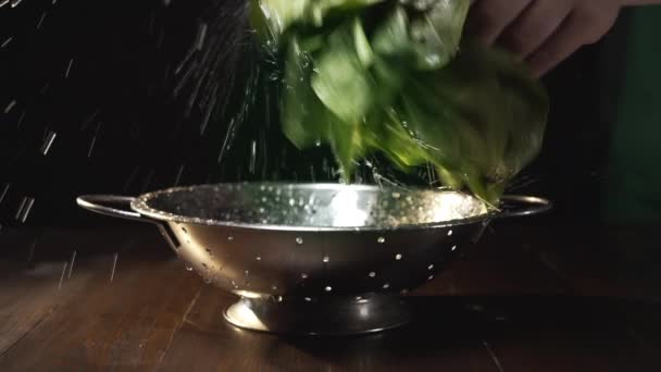 요리사는 생 녹색 신선한 시금치와 물방울의 무리를 흔들어 그것에서 폭포, 잘 익은 채소, 야채 요리, 비타민 식품, 풀 Hd 프로레스 422 본부 — 비디오