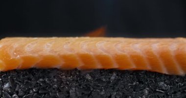 Somon yavaş hareket gaz-brülör ile kavrulur, siyah pirinç ve somon ile suşi rulo yapma, çiğ kırmızı balık pişirme, gevrek somon suşi rulo, 4k 120p Yavaş hareket Prores Hq