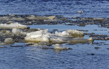 İlkbaharda Neva'da yüzen buz lar. Rusya St. Petersburg. 