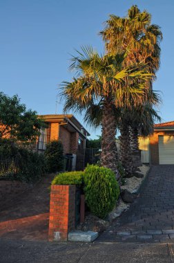 Hallam'da sıcak bir yaz akşamı. Victoria Eyaleti. Avustralya