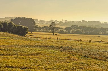 Victoria.Warrnambool'un Güney Batı kıyısı. Avustralya Pasifik kıyıları.