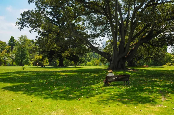 Verzorging Schoonheid Van Parken Van Melbourne — Stockfoto