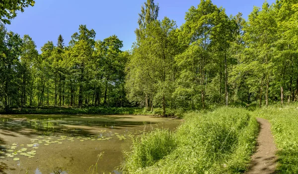 Old Trees Park Preserved Estate Ryabovo — Stock Photo, Image