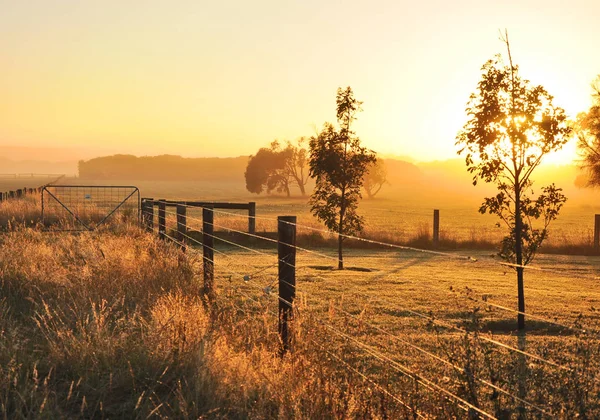 Misty morning in the countryside of Australia