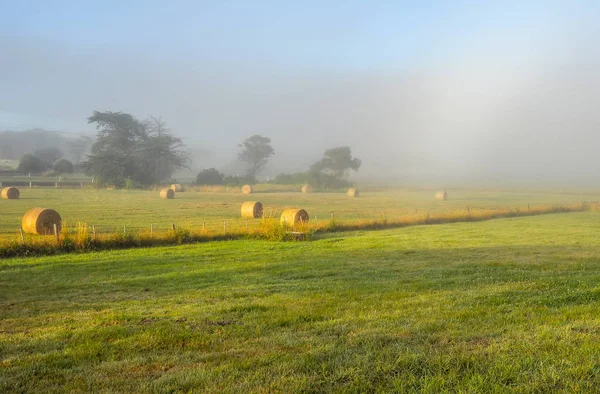 ชายฝ งตะว นตกเฉ ยงใต ของ Victoria Warrnambool ชายฝ งแปซ กออสเตรเล — ภาพถ่ายสต็อก