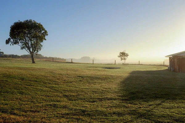 Kora Nyár Reggel Vidéken Ausztrália Köd — Stock Fotó
