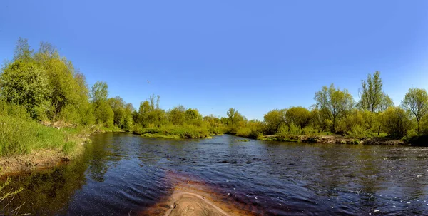 Leningrad Bölgesinde Sablinka Nehri Boyunca Bahar Yürüyüşü Sablino Doğa Rezervi — Stok fotoğraf