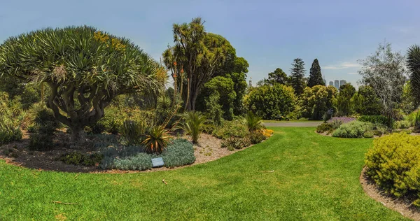 Parky Zahrady Melbourne Austrálie — Stock fotografie