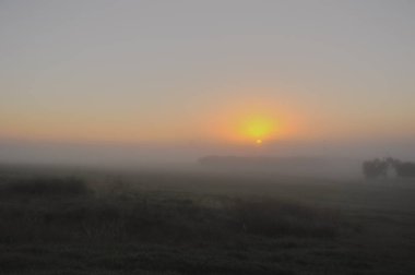 Avustralya kırsalında puslu sabah