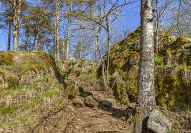 Karelia Cumhuriyeti'ne hafta sonu gezisi. Kuzey bölgelerinin güzelliği. 