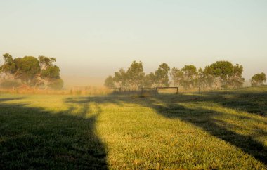 Avustralya kırsalında puslu sabah