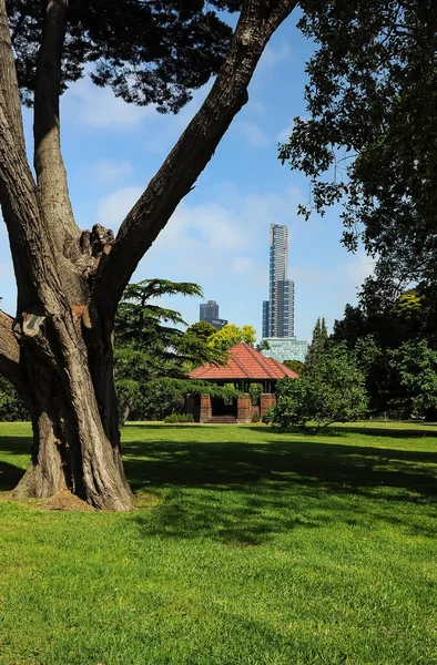 Rozkvět Krása Parků Melbourne — Stock fotografie