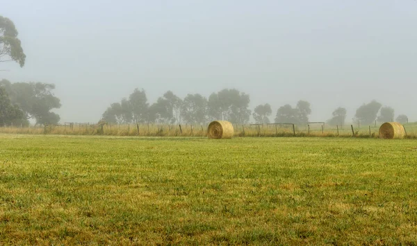 Foggy Daggry Warrnambool Australia Vakkert Morgenlys – stockfoto