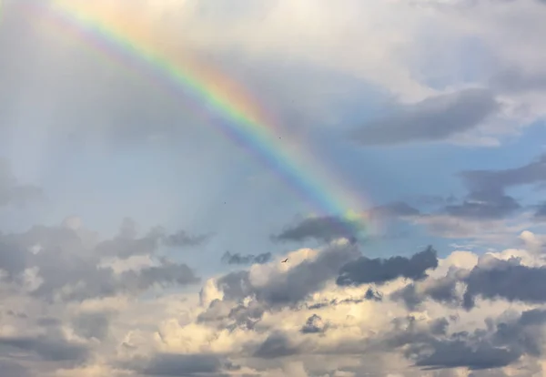 Regenbogen Frühling Bewölkter Himmel Nach Gewitter Und Regen — Stockfoto