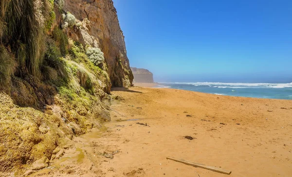 Spiaggia Dell Oceano Pacifico — Foto Stock