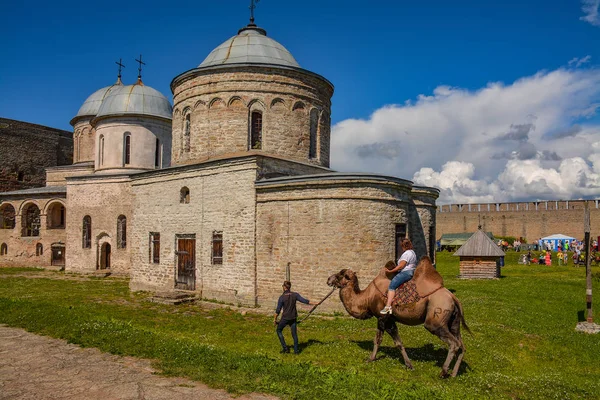 歴史的建造物 イヴァンゴロドの要塞 レニングラード地方 — ストック写真